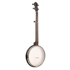 Gold Tone AC-12 Banjo 5 cordes open back fût 12"