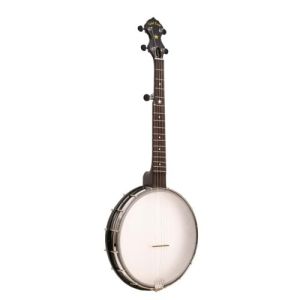 Gold Tone AC-12A Banjo 5 cordes open back fût 12" diapason La
