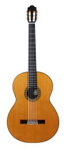 Esteve Basse 6C Octave 