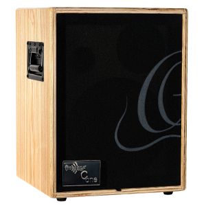 Ampli Ortega 100W, 2 Canaux, Rev/Chorus