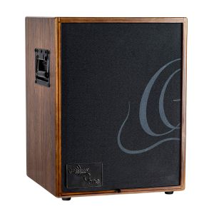 Ortega Ampli 100W, 2 Canaux, Rev/Chorus
