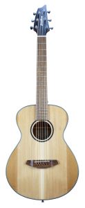 Breedlove Discovery S Companion
