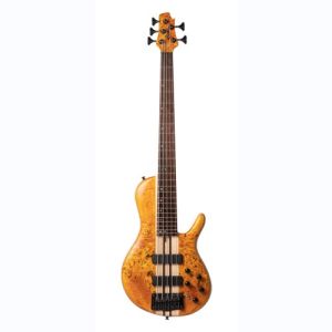 CORT A5 PLUS SC AMBER BASS