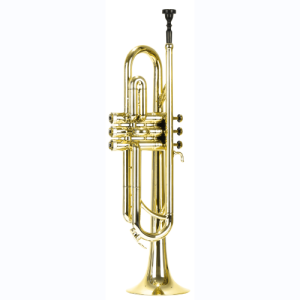 play it ! trompette BTR-150G