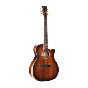 Cort Guitare The Black Tree Light Burst