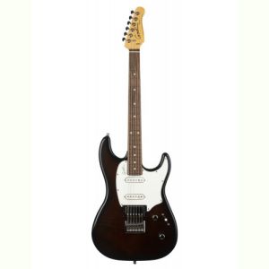 Godin guitare électrique Session HT Bourbon Burst RN