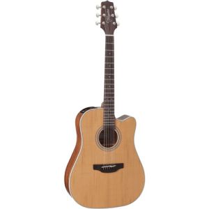 Takamine GD20CENS