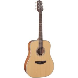Takamine GD20NS