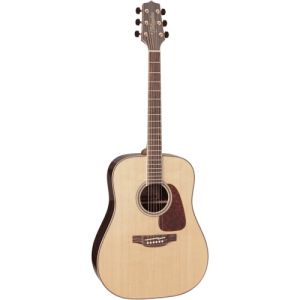 Takamine GD93NAT
