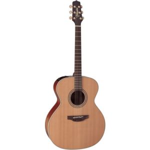 Takamine EN20