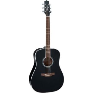 Takamine FT341