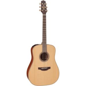 Takamine P3D