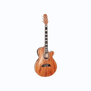 Takamine Thin Line FXC TSP178AC Koa Natural