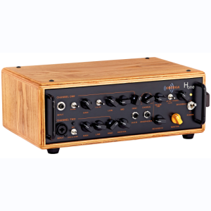 ortega tête ampli acoustique HONE
