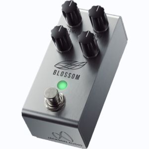 Jackson Audio compresseur Blossom