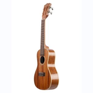 Kala Gloss Solid Mahogany, Concert, livré avec étui
