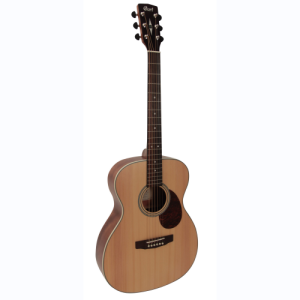 cort folk gitaar L100OMNS