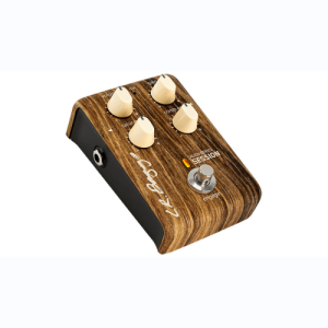 l.r. baggs pédale d'effet Align Series Session