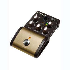 L.R. Baggs Session Acoustic  D.I