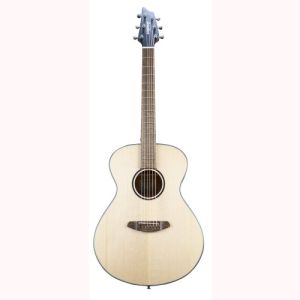 BREEDLOVE DISCOVERY S CONCERT LH