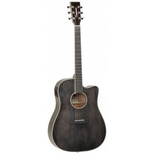 Tanglewood Winterleaf TW5EBS CN