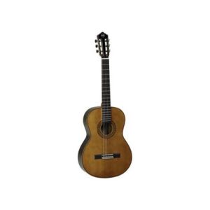 Tanglewood Dominar EMD3 WN