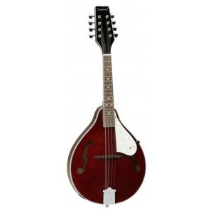 Tanglewood Mandoline TWMTWR CN