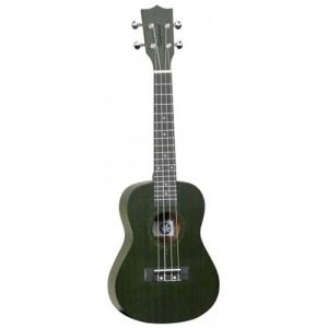 Tanglewood Tiare TWT3FG CN