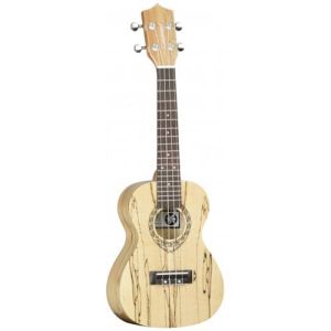 Tanglewood Tiare TWT10 CN