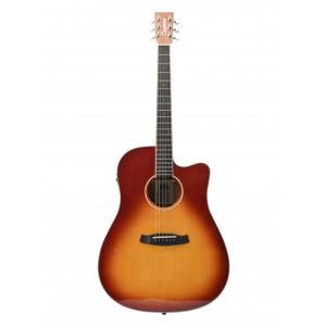 Tanglewood Winterleaf TW5SB CN