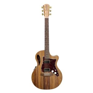 Cole Clark Guitare TL2EC-BLBL-HH