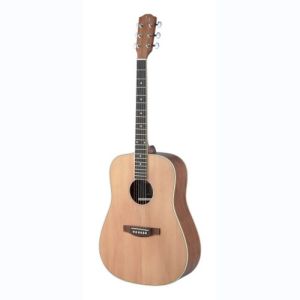 james neligan guitare folk ASY-D LH