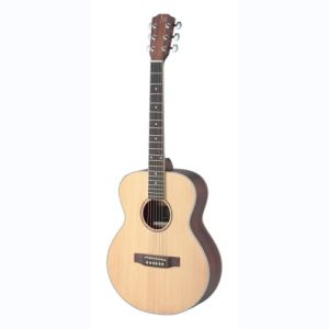 james neligan guitare folk ASY-A MINI LH