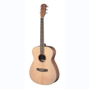 james neligan guitare folk ASY-A LH