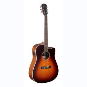 james neligan guitare folk EZR-DCFI