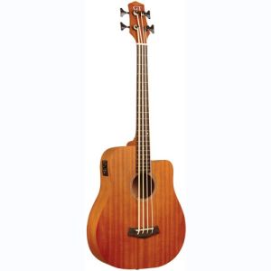 gold tone basse électro-acoustique M-BASS25
