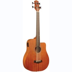 gold tone basse électro-acoustique M-BASS25-FL
