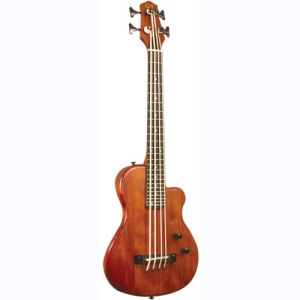 gold tone basse électro-acoustique ME-BASS