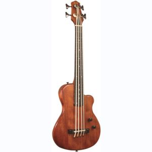 gold tone basse électro-acoustique ME-BASS-FL