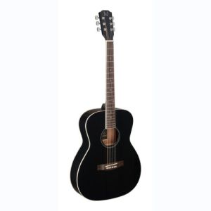 james neligan guitare folk BES-A BK