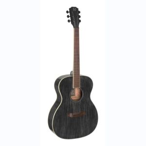 james neligan guitare folk YAK-A