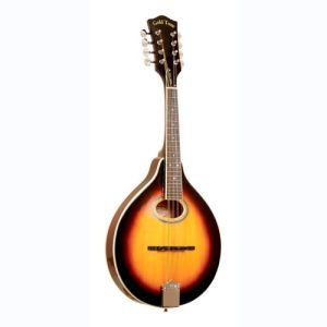 gold tone mandoline GM-50+