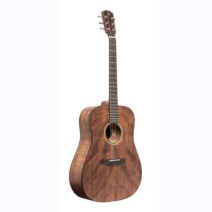 james neligan guitare folk DOV-D