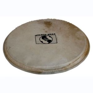Latin Percussion Peau de Percussion Plenera WB505B 10"