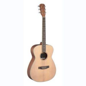 james neligan guitare folk ASY-A