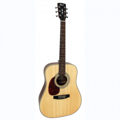 cort folk gitaar E70GOP